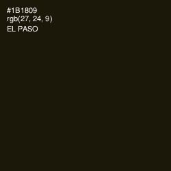 #1B1809 - El Paso Color Image